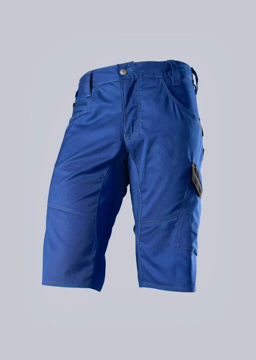 Koningsblauw (Bright Royal)