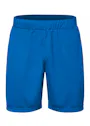 Clique Basic Active Shorts miniatuur