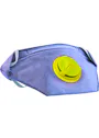 Delta Plus DS 10 Masken, FFP2, V+P+W Vorschaubild