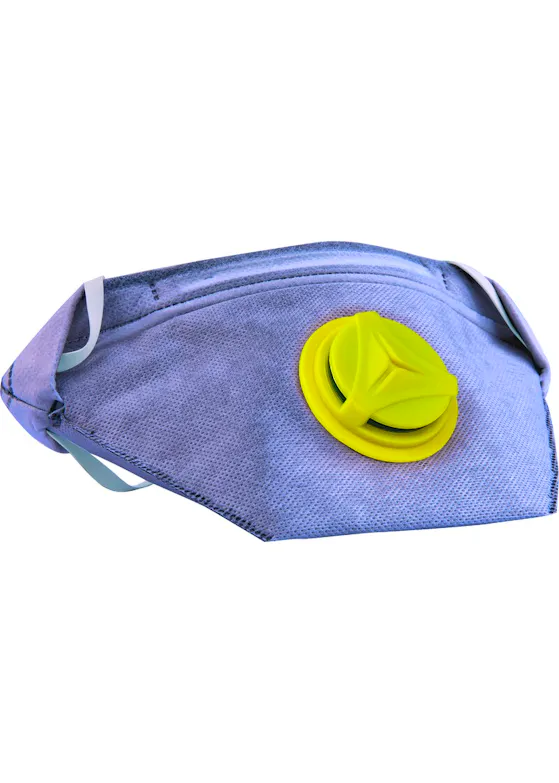 Delta Plus DS 10 Masken, FFP2, V+P+W