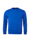 Koningsblauw (Bright Royal)
