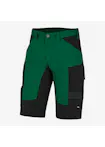 Groen/zwart