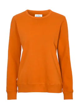 Cottover 141004 Sweater Crewneck Regular Fit Dames miniatuur