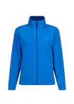 Koningsblauw (Bright Royal)
