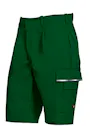BP® Shorts 1610 miniatuur