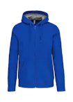Light Royal Blue