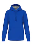 Light Royal Blue
