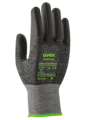 Uvex C300 wet