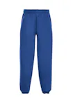 Koningsblauw (Bright Royal)