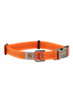 Oranje
