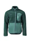 Bosgroen