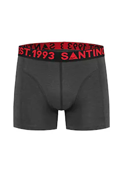 Santino Boxer boxer thumbnail (vignette)