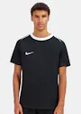 Nike Dri-FIT Academy Pro 24 SS-Top K Herren-Fußballtrikot FD7592 Vorschaubild