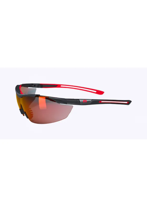 Hellberg Safety Argon AF + AS Smoke Rot