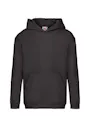 Fruit of the Loom Kids' Premium Hooded Sweatshirt Vorschaubild