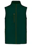 Flesgroen