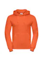 Russell Hooded Sweatshirt miniatuur