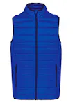 Light Royal Blue