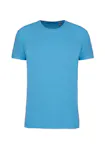 Cloudy Blue Heather