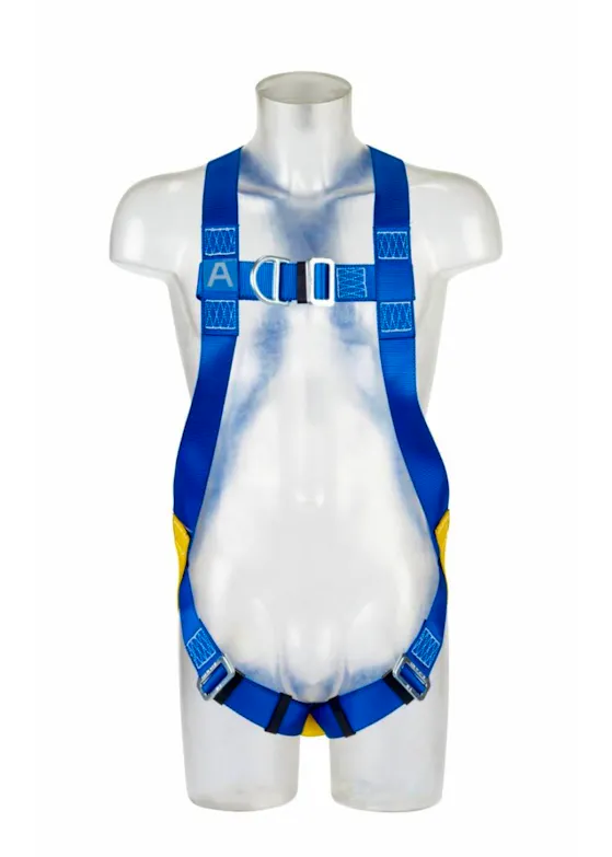 3M Protecta E50 Auffanggurt AB17711SM, blau, Small
