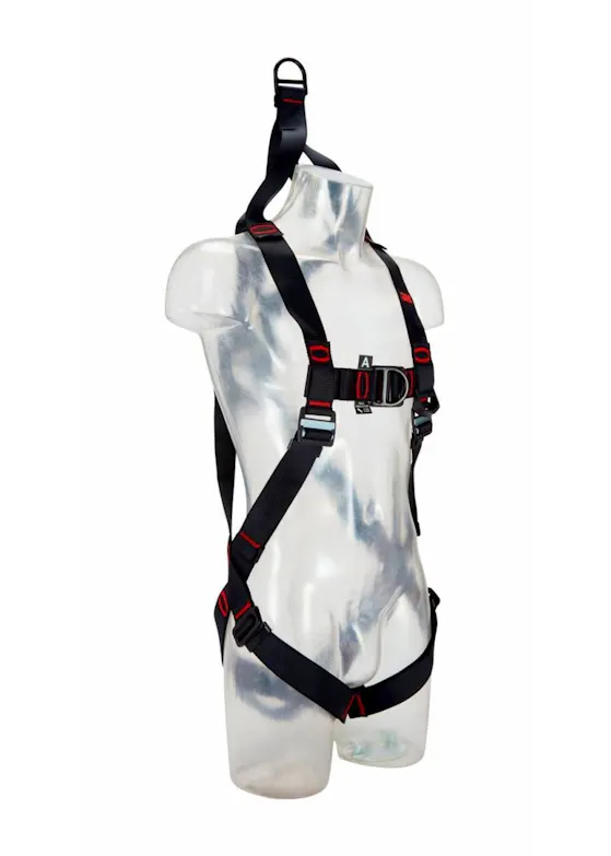 3M Protecta E200 Standard-Auffanggurt, 1161613, Schwarz, M/L