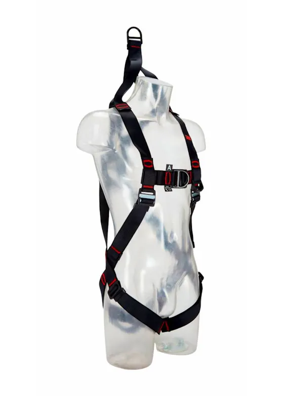 3M Protecta E200 Standard-Auffanggurt 1161614, schwarz, XL