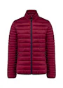 Kariban Men's Lightweight Padded Jacket miniatuur