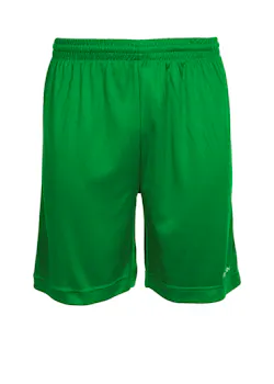 Stanno Field Short 420000 miniatuur