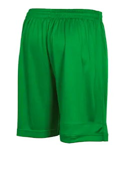 Stanno Field Short 420000 miniatuur