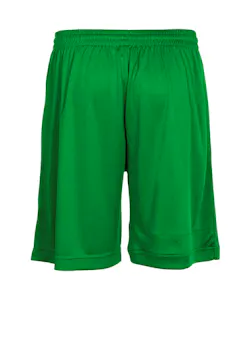 Stanno Field Short 420000 miniatuur