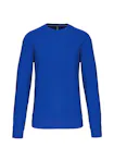 Light Royal Blue