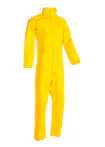 Y58