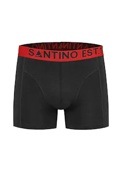 Santino Boxer boxer thumbnail (vignette)