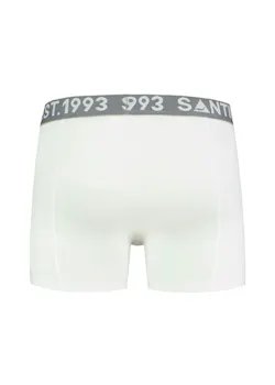 Santino Boxer boxer thumbnail (vignette)