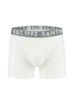 Santino Boxer boxer thumbnail (vignette)