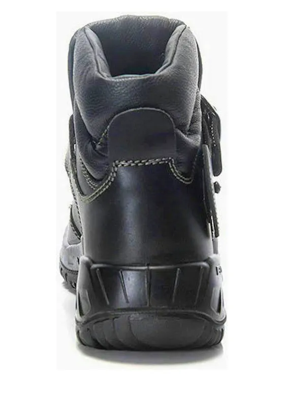 Elten Carl II S3 HI