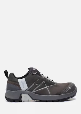 Haix Connexis Safety+ GTX Low Grey-Silver S3 Werkschoen