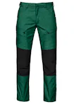 Forestgreen (66)