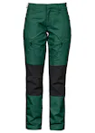 Forestgreen (66)