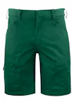 Forestgreen (66)
