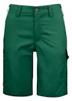 Forestgreen (66)