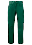 Forestgreen (66)