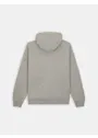 Dickies DK0A4YT6 Regular Fleece Hoodie miniatuur