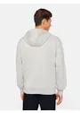 Dickies DK0A4YT6 Regular Fleece Hoodie miniatuur