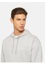 Dickies DK0A4YT6 Regular Fleece Hoodie miniatuur