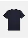 Dickies DK0A4YT7 Relaxed T-shirt miniatuur