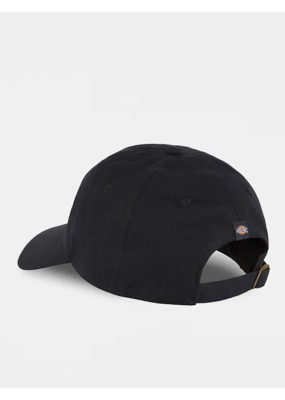 Dickies DK0A4YNN Twill Cap