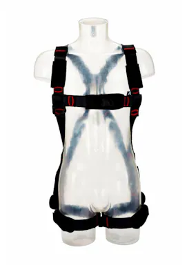 3M Protecta E200 Standard-Auffanggurt 1161724 XL