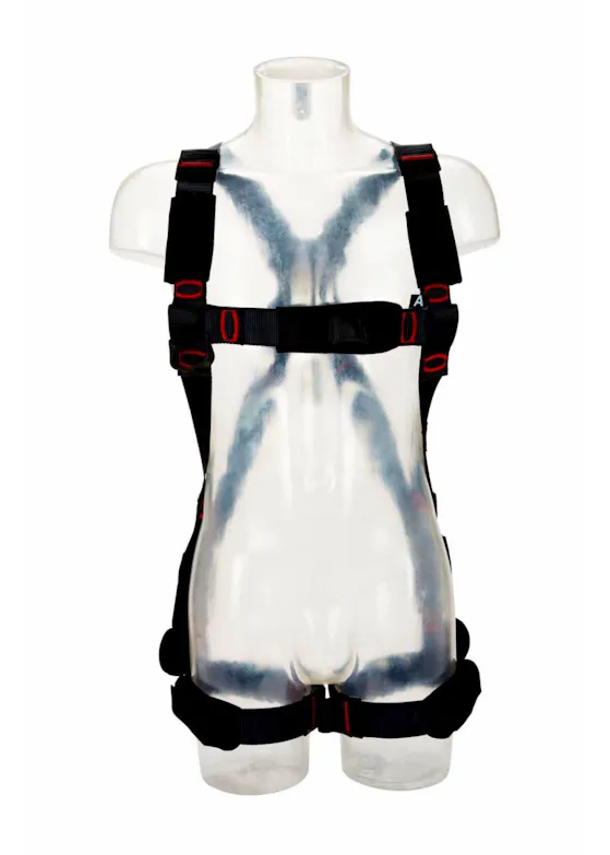 3M Protecta E200 Standard-Auffanggurt 1161724 XL