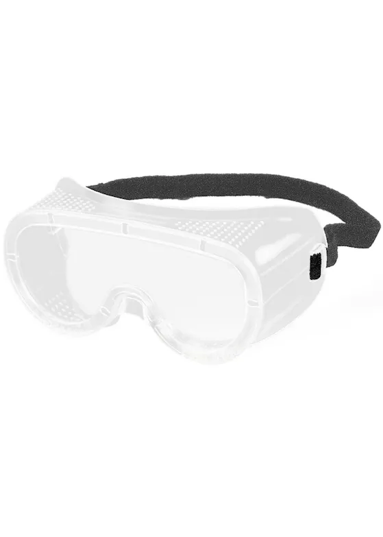 MSA Perspecta GV1000 Vollsichtbrille
